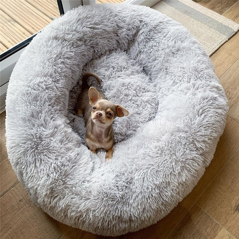 HomePetsBest - "Wolke"