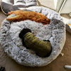 HomePetsBest - 